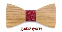 noeud-papillon-garçon-avec-motifs
