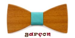 noeud-papillon-garçon-turquoise