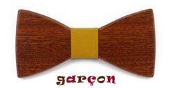 noeud-papillon-garçon-jaune