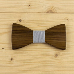 noeud-papillon-costume-bleu