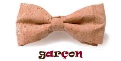 noeud-papillon-original-pour-garçon
