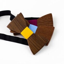 noeud-papillon-costume-bleu