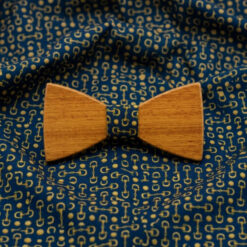 noeud-papillon-costume-bleu