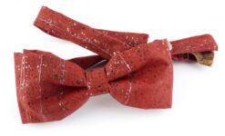 noeud-papillon-rouge-homme